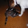 DSCN2511.JPG