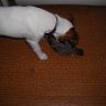 DSCN2497.JPG