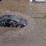 WP_20130530_052.jpg