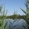 DSCF0998.JPG