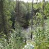 DSC03013.JPG
