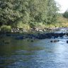 DSC03688.JPG