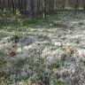 DSC02949.JPG