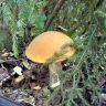 photo_00048.jpg