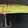 Jaguan Pike