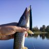 IMG_20160911_084559.jpg
