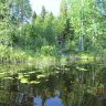 IMG_0035.JPG