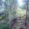 DSC02971.JPG