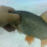 IMG_20140322_154606.jpg