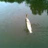 DSC00111.JPG