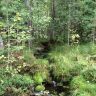 photo_00274.jpg