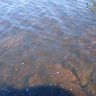DSC03682.JPG