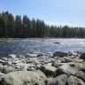 photo_00336.jpg
