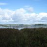 DSC03591.JPG