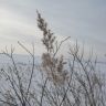 IMG_3836.JPG