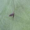 20170823_060342.jpg