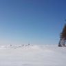 photo_00397.jpg