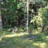 DSC01732.JPG