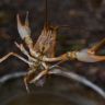 DSC_2769.JPG