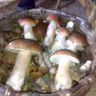 10092010353.jpg