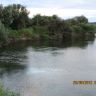IMG_2665.JPG