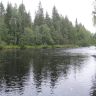 IMG_0031.JPG