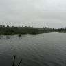 DSC01466.JPG