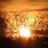 DSCN0253.JPG
