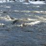 photo_00375.jpg