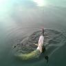 DSC00128.JPG