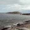 DSC02045.JPG