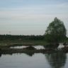 IMG_6057.JPG