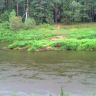 DSC00053.JPG