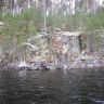 photo_00085.jpg