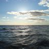 DSC02340.JPG