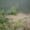 DSC00186.JPG