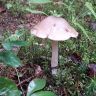 20180713_064341.jpg