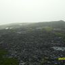 SDC12021.JPG