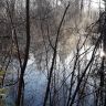 20180428_061426.jpg