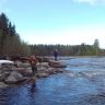 photo_00127.jpg