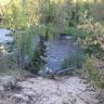 DSC02956.JPG