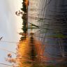 20180527_040855.jpg