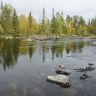 DSC03516.JPG