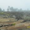 SDC12022.JPG