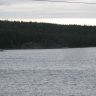 IMG_0956.JPG