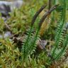 photo_00347.jpg