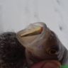 DSC00230.JPG