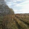 20141011_142730.jpg
