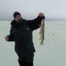 DSC01654.JPG