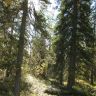 IMG_0093.JPG